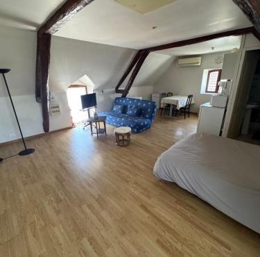 Air-conditioned studio 20 min from ZooParc Beauval