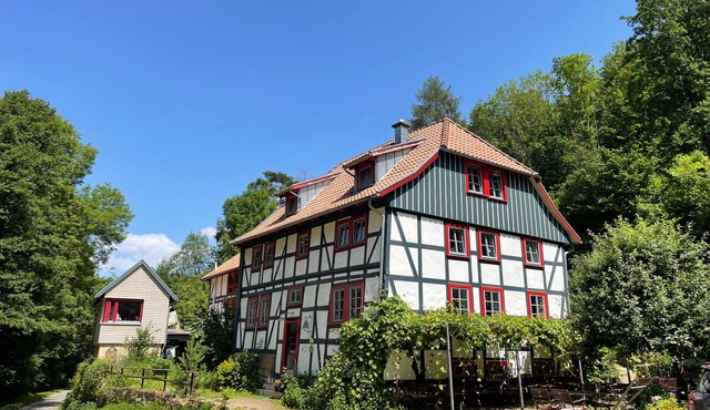 Apartment with sauna in historic watermill in Heringen - Helme OT Hamma