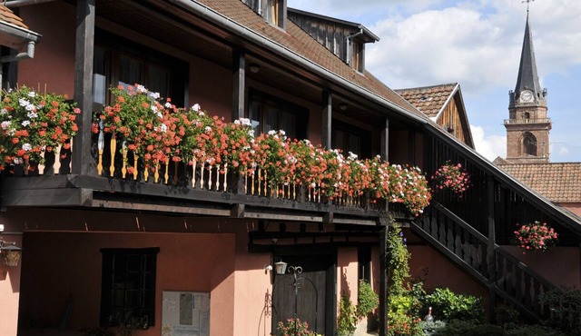 Apartment 2: Holiday apartment in a quiet private property