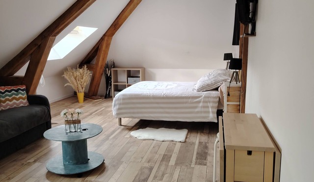 Apartment with double bed, sofa bed, bathroom and kitchen