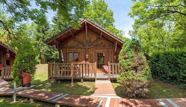 Apartment "Gentiane" with mountain view, Wi-Fi and air conditioning