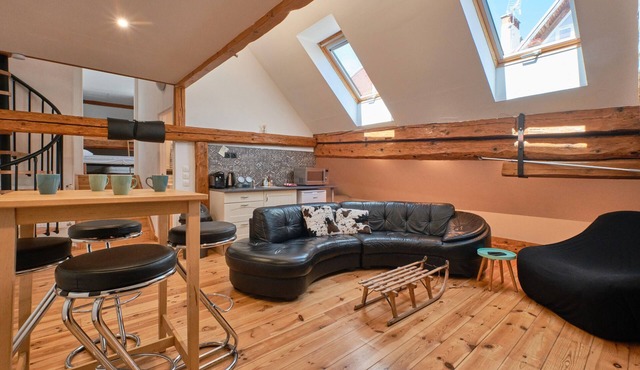 Apartment 'Grande Maison De Ville Renove' with Mountain View and Wi-Fi