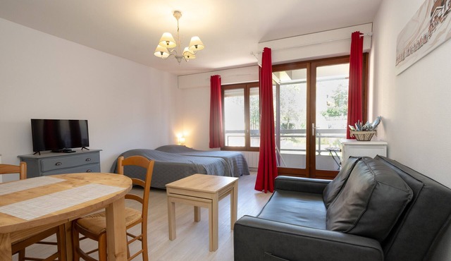 Apartment 'Studio Meublé' with Mountain View, Balcony and Wi-Fi