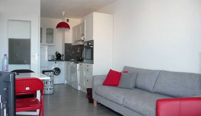 Apartment with AC, pets welcome - 4 guests