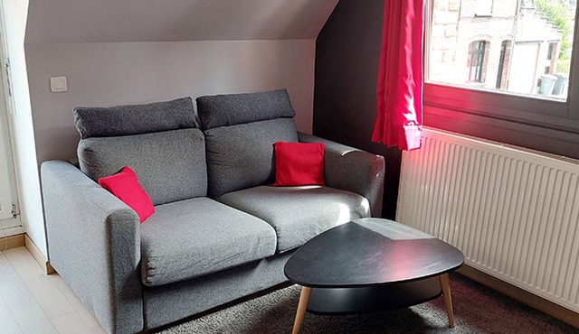 Apartment with wifi, pets allowed, central - 4 guests