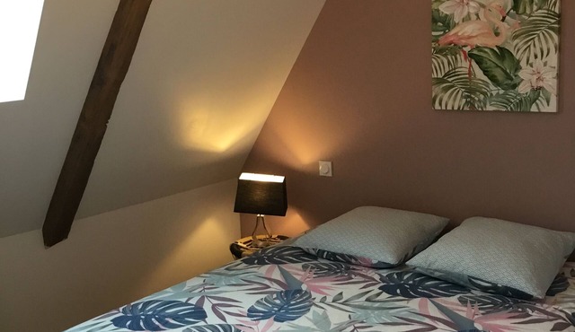 Appartement Dans Maison du Xviiiémé Siècle en Centre Ville