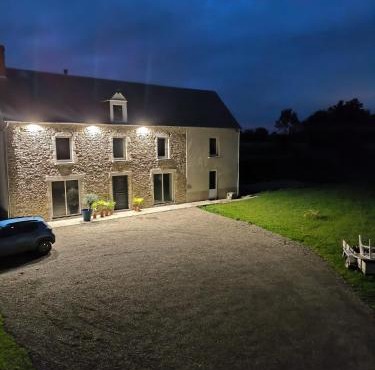 Au cœur du marais