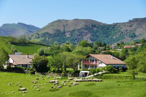 BaskoParadis I Eco-Gites I Calme I Vue I Ânes I Jardin I Montagne I Nature