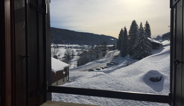 Beau Duplex en Plein Cœur du Parc du Haut-jura