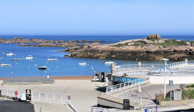 Beautiful apartment beautifull sea view with free WIFI in TREGASTEL