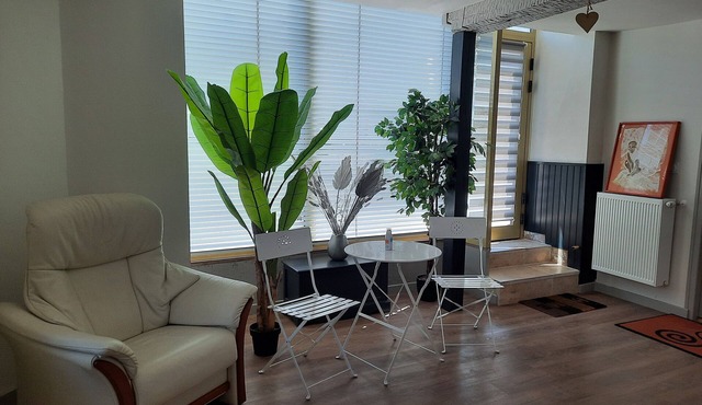 Between CHAMBORD and BLOIS Spacious 125m2 apartment