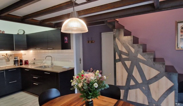 Blanche Charmant duplex-Apartment