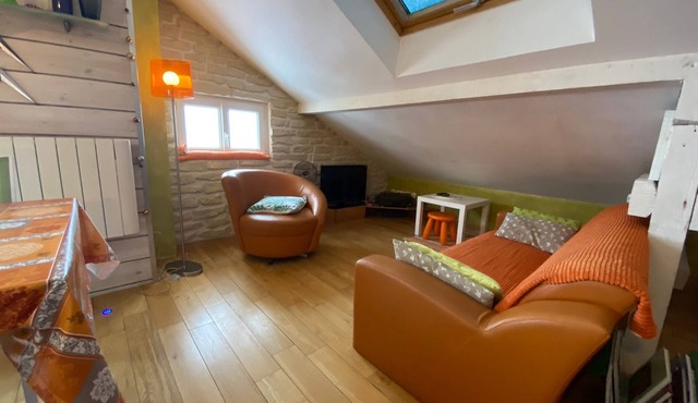 Bright and comfortable apartment with a view of Gerardmer and its slopes in Gérardmer