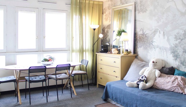 Bright studio in the heart of Paris