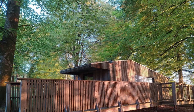 BUNGALOW TERRACE (3pers) with private hot TUB - Forest stopover