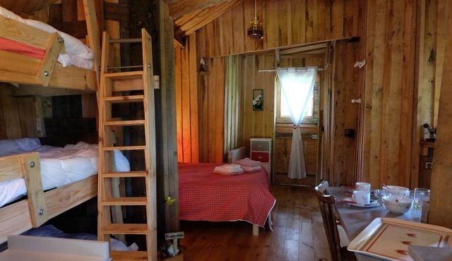 Cabane dans les Arbres - Tree House