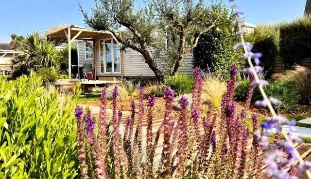 Camping La Côte des Légendes * - Aromatic garden cottage - 3 bedrooms - 2 bathrooms 6 people