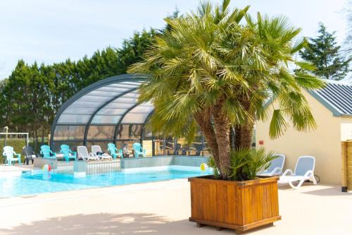 Camping Les Carolins - 4 étoiles