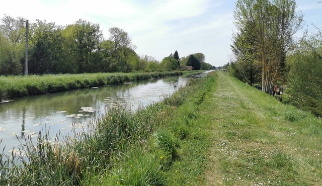 Canal House