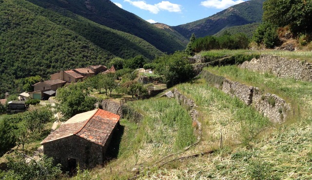 Cevennes-style character house in a hamlet near Valleraugue.