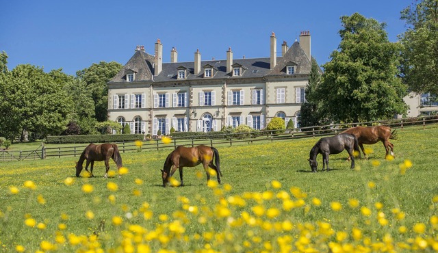 Château d'Ygrande