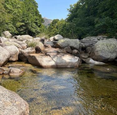 Chalet 13 pers Cévennes La Tchourette