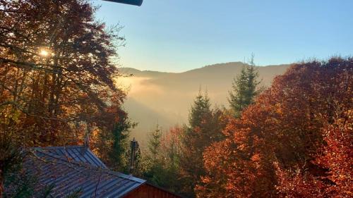 Chalet paisible dans les Cévennes avec sauna privé