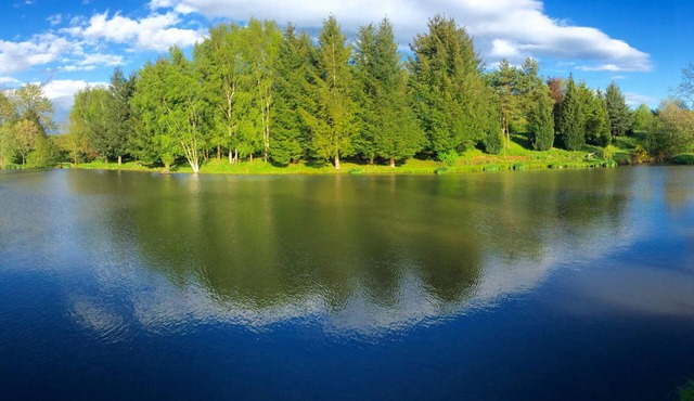 Chalet with private lake, 4/6 person rental with NOKILL fishing