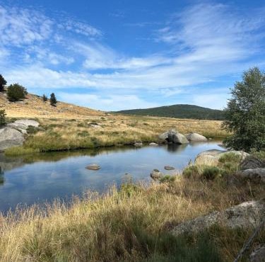 Chalets 5 pers Cévennes Lozère