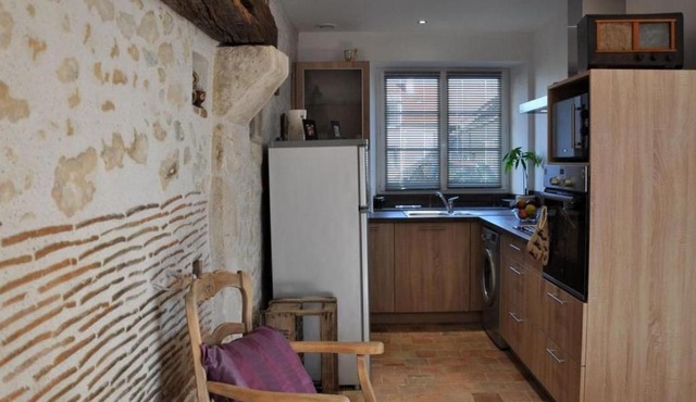 Charmante maison près des châteaux de la Loire avec jardin fermé et animaux bienvenus - FR-1-590-65