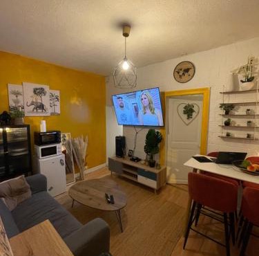 Charmant appartement centre ville