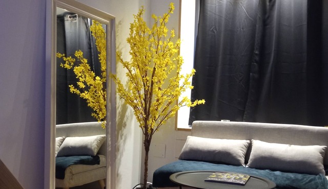 Charmant Studio Atypique, au Coeur d' une rue Commerçante