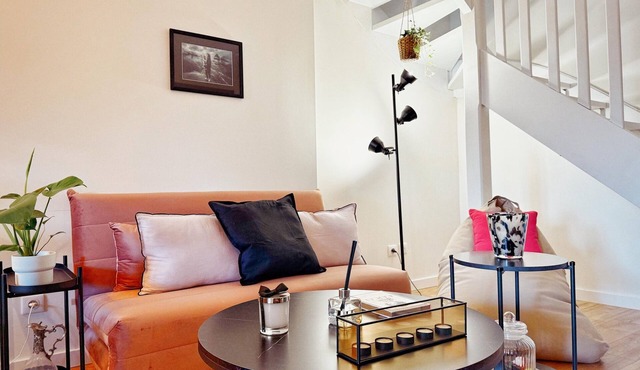 Charming house 50 m2 on cellar renovated with air conditioning 10 minutes from Cluny + green space