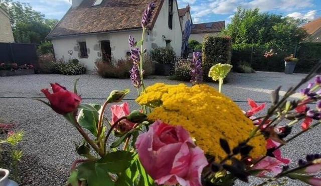 Charming 18th Century House with Pets Allowed