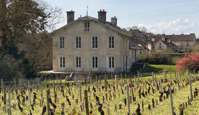 Charming renovated villa with exceptional view on its vineyards (incl. Fan & AC)