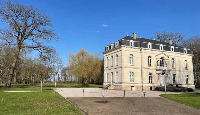 Chateau Dans Parc Arboré