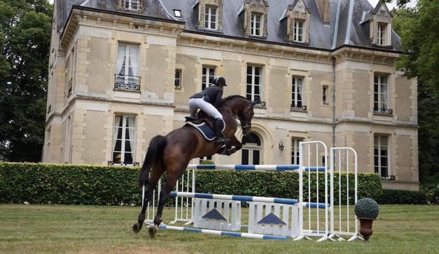 Chateau des Trois Brioux