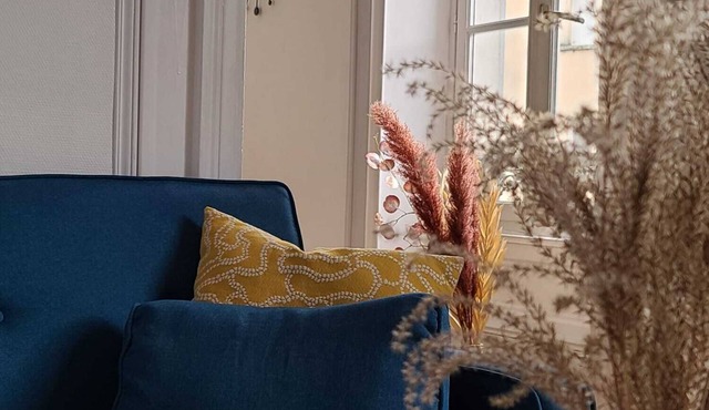 Chez Aristide, 3 to 7 ppl flat ideally located in Auxerre city center.