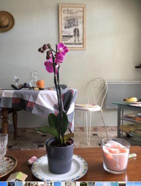 Chez Petra