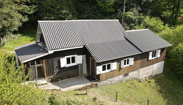 Cosy, spacious chalet in Gabas, perfect for families and friends