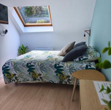 Cosy Studio