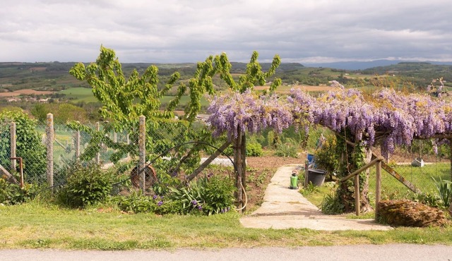 Cottage Les Figues 2