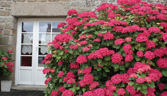 Cottage Kerruer
