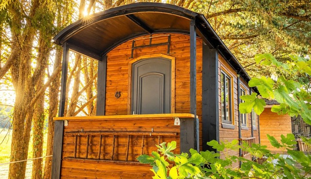 Cowboy Trailer - Unique Tiny House