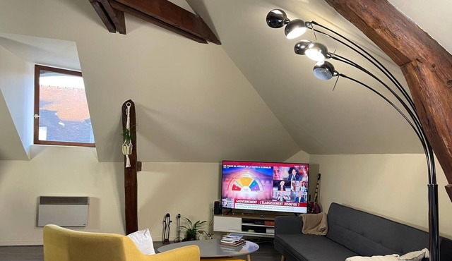 Cozy apartment in the city center