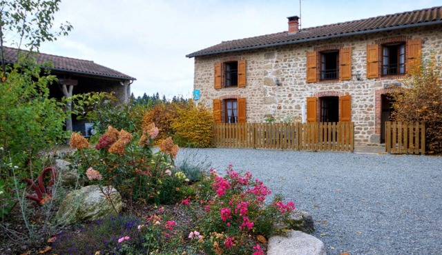 Cozy gîte for 7 with fireplace and terrace