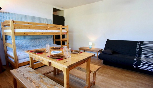 Cozy studio near slopes, pets allowed