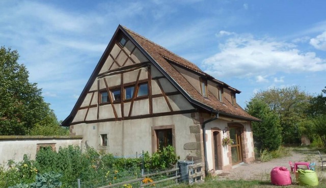 Domäne mit Terrasse, Grill und Garten by Interhome