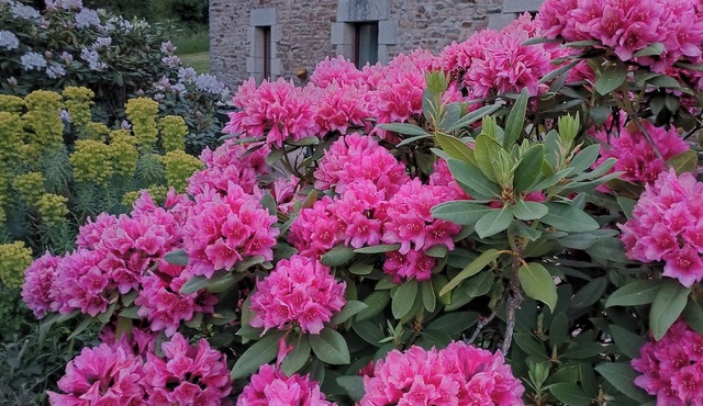 Domaine Minio Bihan