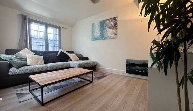 Downtown superb f3 with all comforts